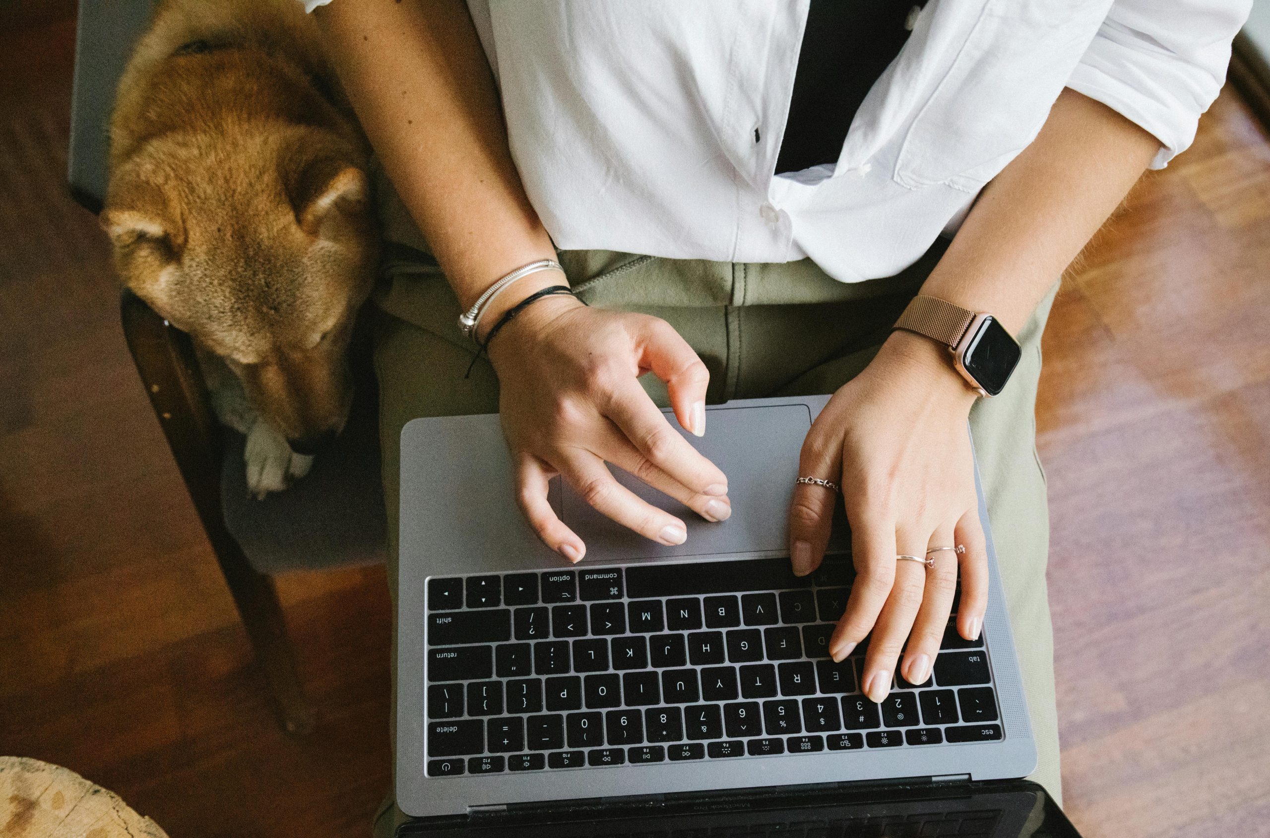 SEO Outreach Campaigns Focused on High-Quality Editorial Link Placements
