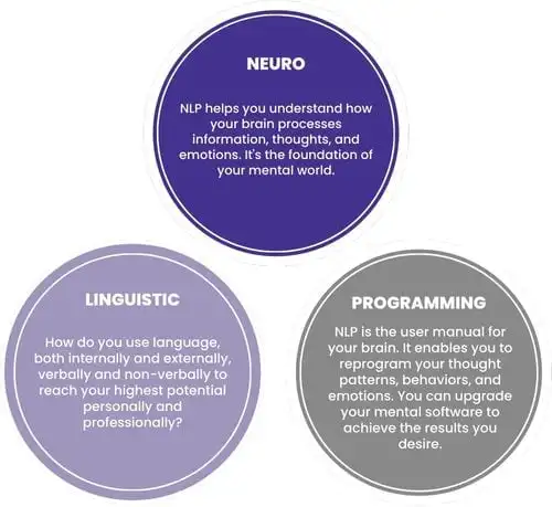 Elite NLP: 5 Pillars That Separate Coaches from Amateurs